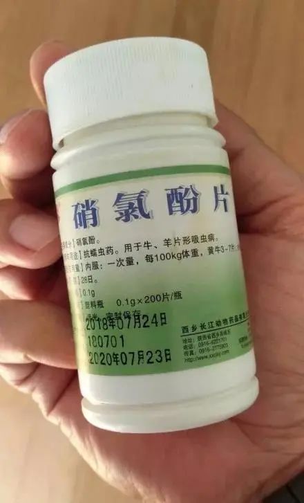 狗狗中毒急救措施,狗狗中毒怎么急救