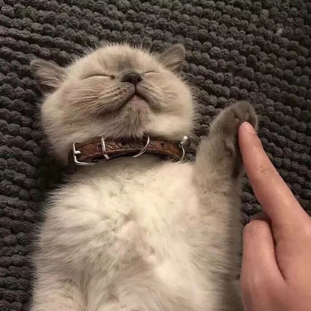 吉祥招财带来好运的山水微信头像,2024最招财带来好运的微信头像