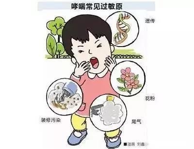 伤寒论治喘的方子,伤寒论关于喘病的论述