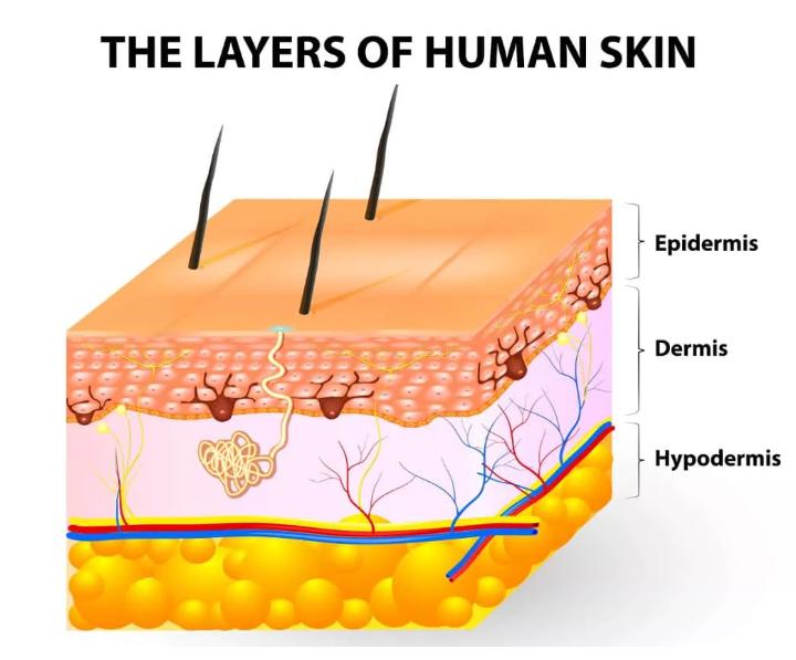 光子和超光子有什么区别,超光子比光子嫩肤贵吗