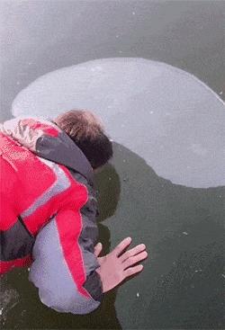 让你心动的搞笑图片,搞笑gif笑死人的动图