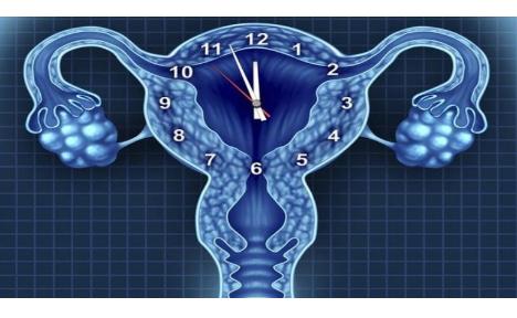 月经推迟的几种原因你都知道吗,月经一直提前突然推迟是怀孕了吗