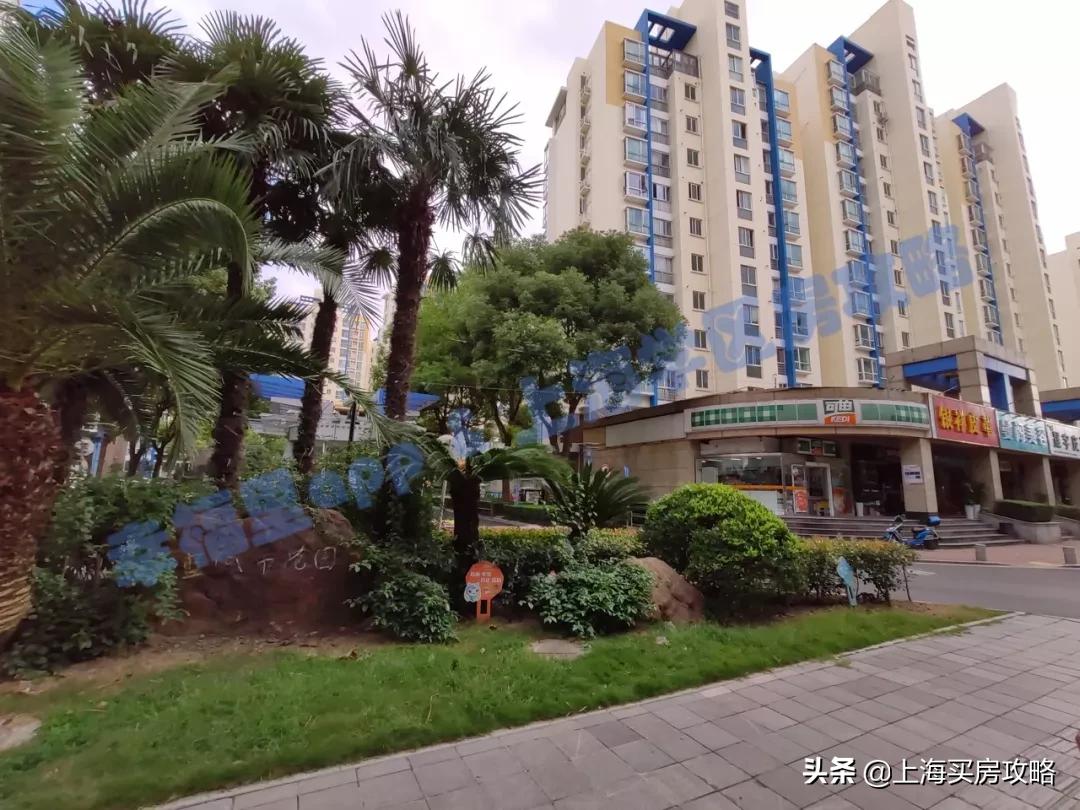 闵行区平南小学怎么样,中环双学区房多少钱