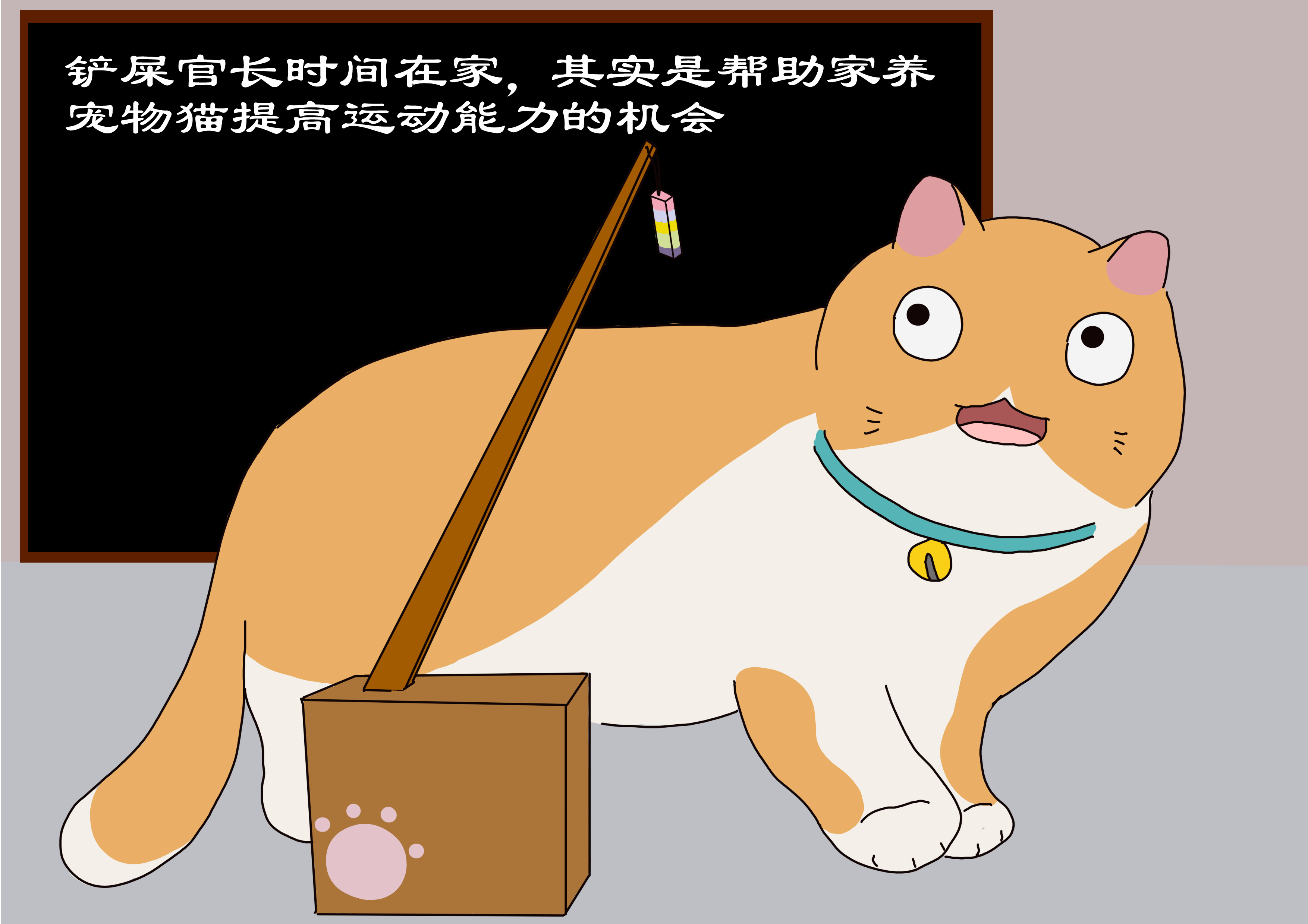 铲屎官宅在家,铲屎官如何照顾猫崽