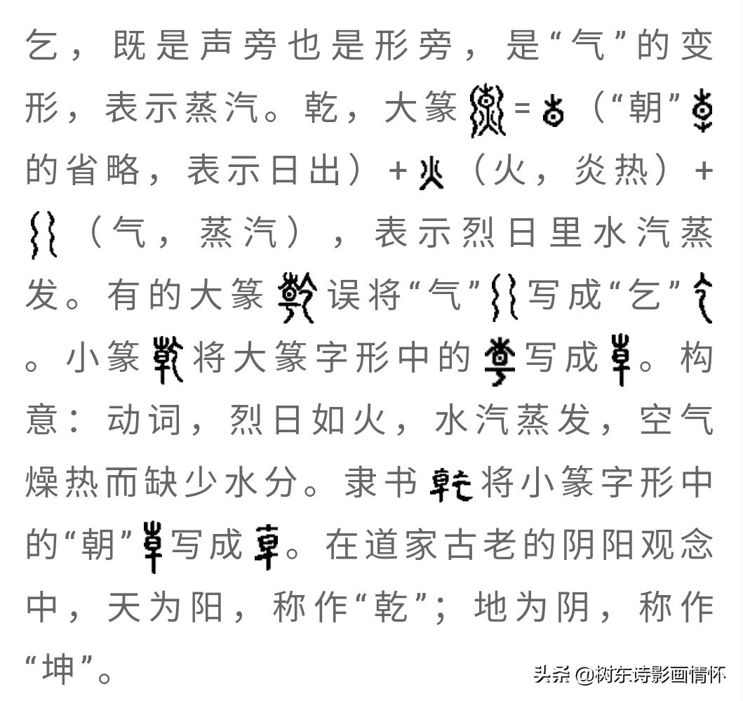 乾字的演变过程图片,乾字解字