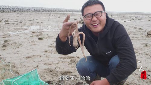 海上直播赶海视频,山东海阳赶海直播