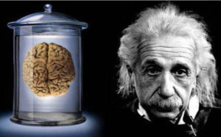 爱因斯坦临死前失去大脑,爱因斯坦死后大脑哪去了