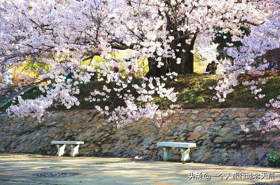 厦门海滨老城旅游,厦门最美海滨城