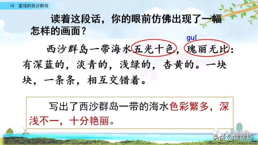 三年级第18课富饶的西沙群岛视频,三年级上册18富饶的西沙群岛笔记