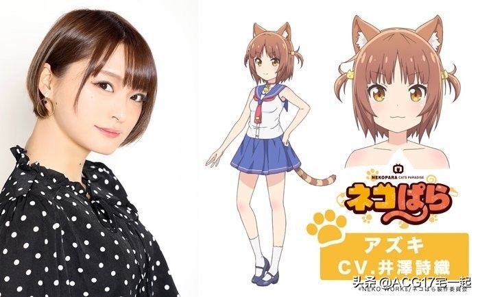 又要吸猫啦！《巧克力与香子兰》TV动画化決定！特报影像公开