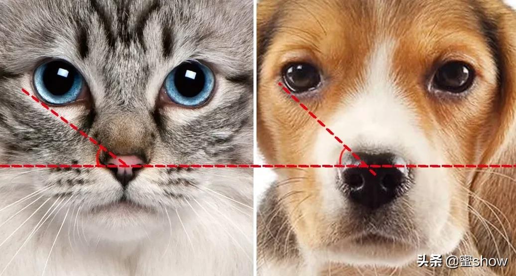 素人改造无眉毛烟熏妆,素人改造化妆遮颧骨