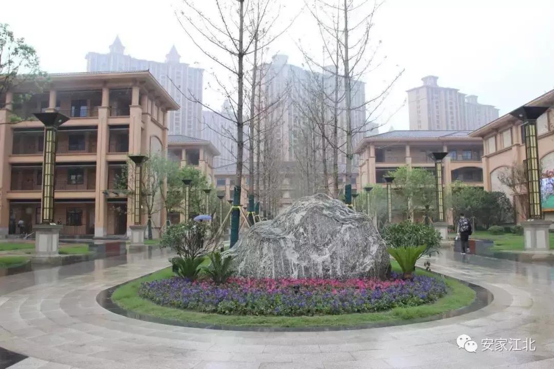 江北核心区学区划分,江北中心学校成绩