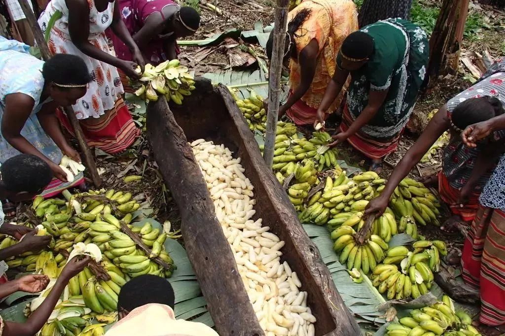 椋熺勃鑰呬笉鍏ヤ镜,椋熶箣鏃犺嚟寮冧箣鍙儨