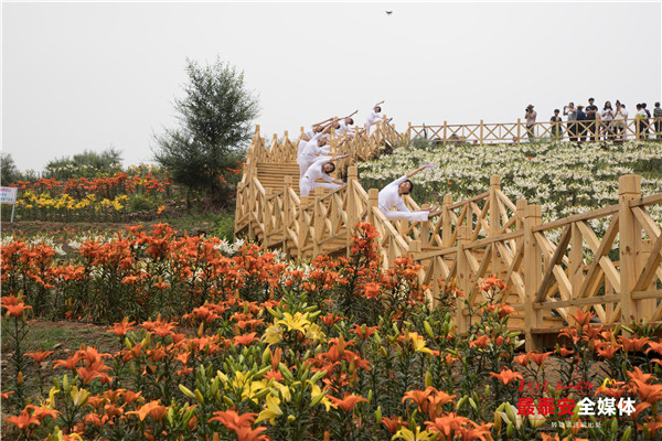聚焦*安泰**看发展|以花为媒,惠美“泰山•百合和园”田园综合体花开最美乡村