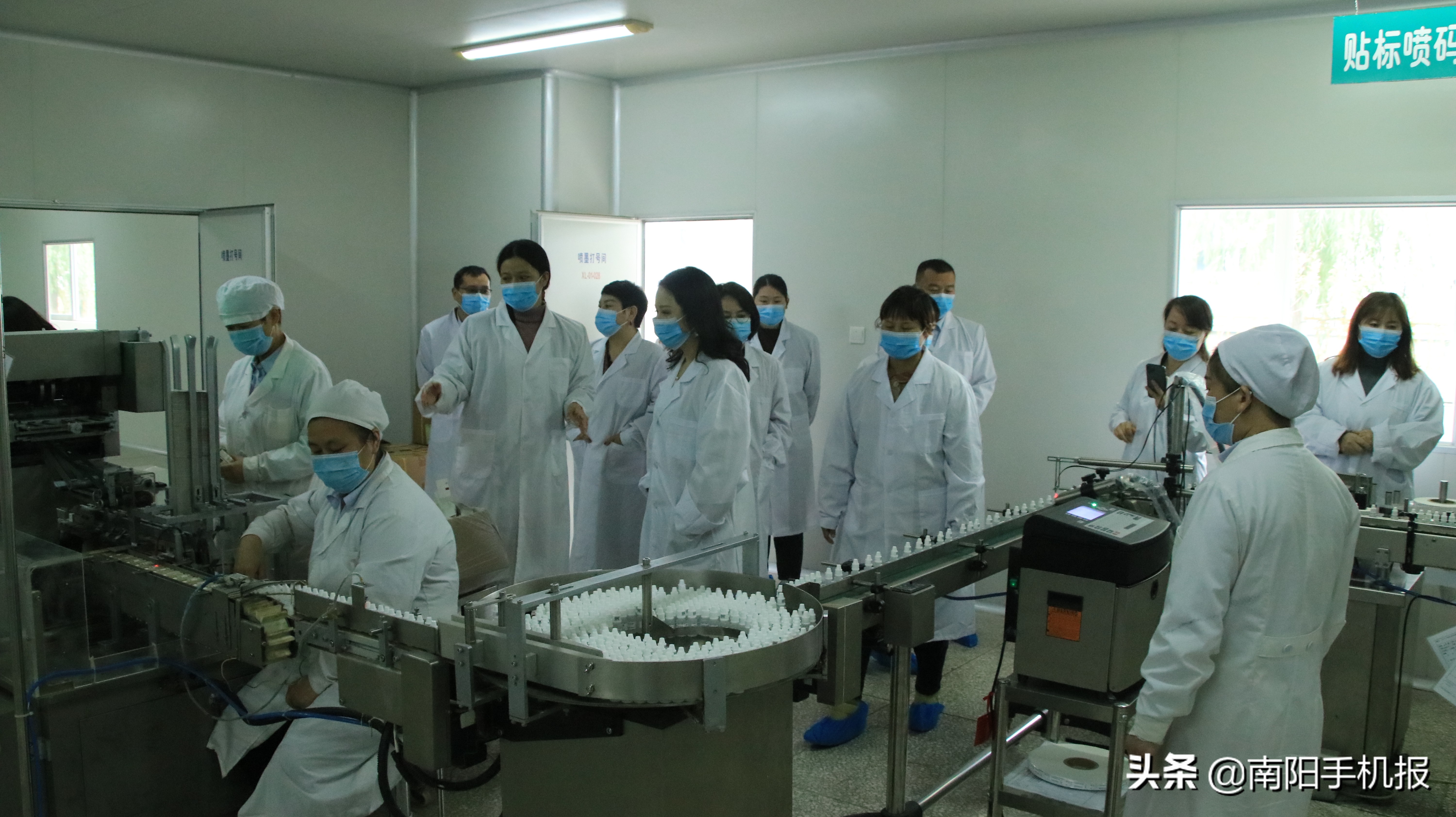 调研艾草产业发展,凝心聚力谋发展研讨交流