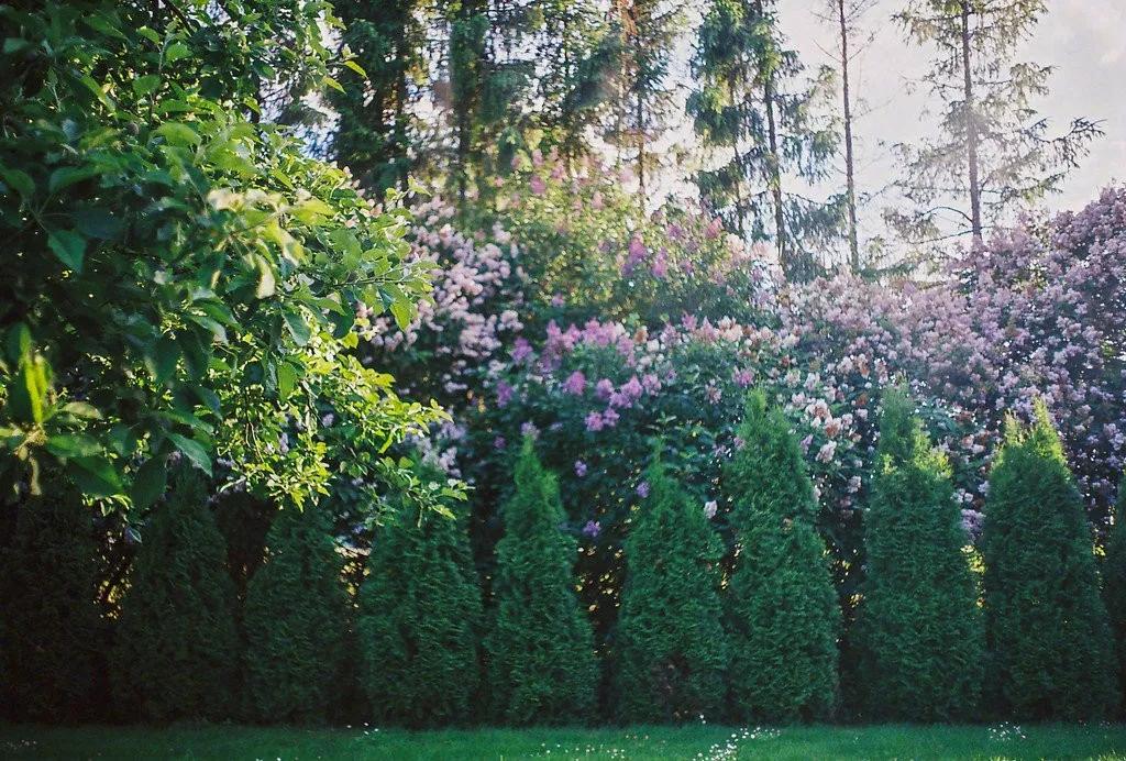 一年四季光阴流转的诗句,诗词陪我们走过人生的四季