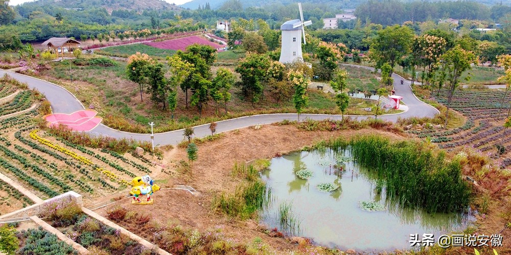 蚌埠禾泉小镇花海门票,游禾泉小镇
