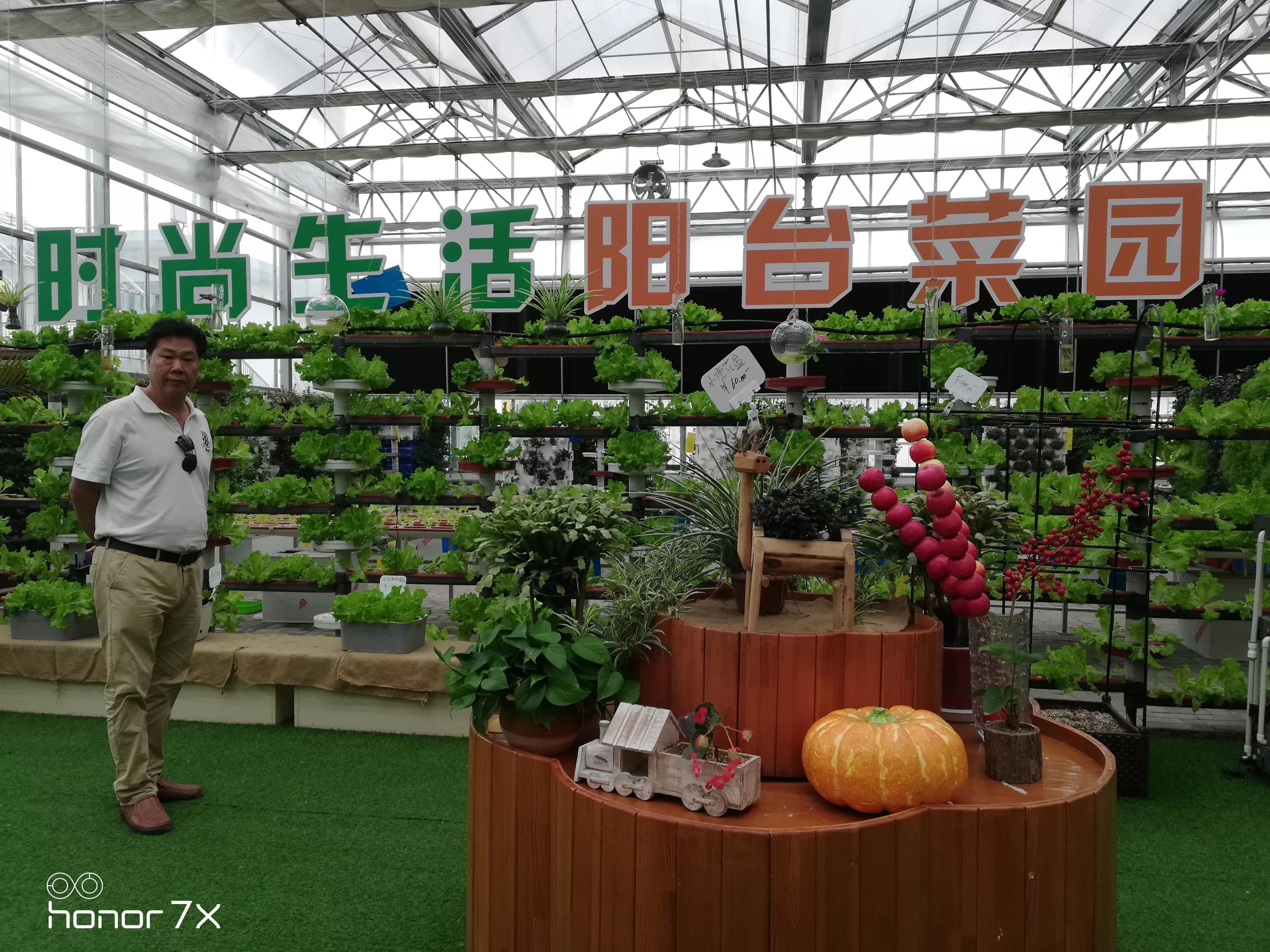 秦皇岛最大农业梦想王国,秦皇岛农业梦想王国图