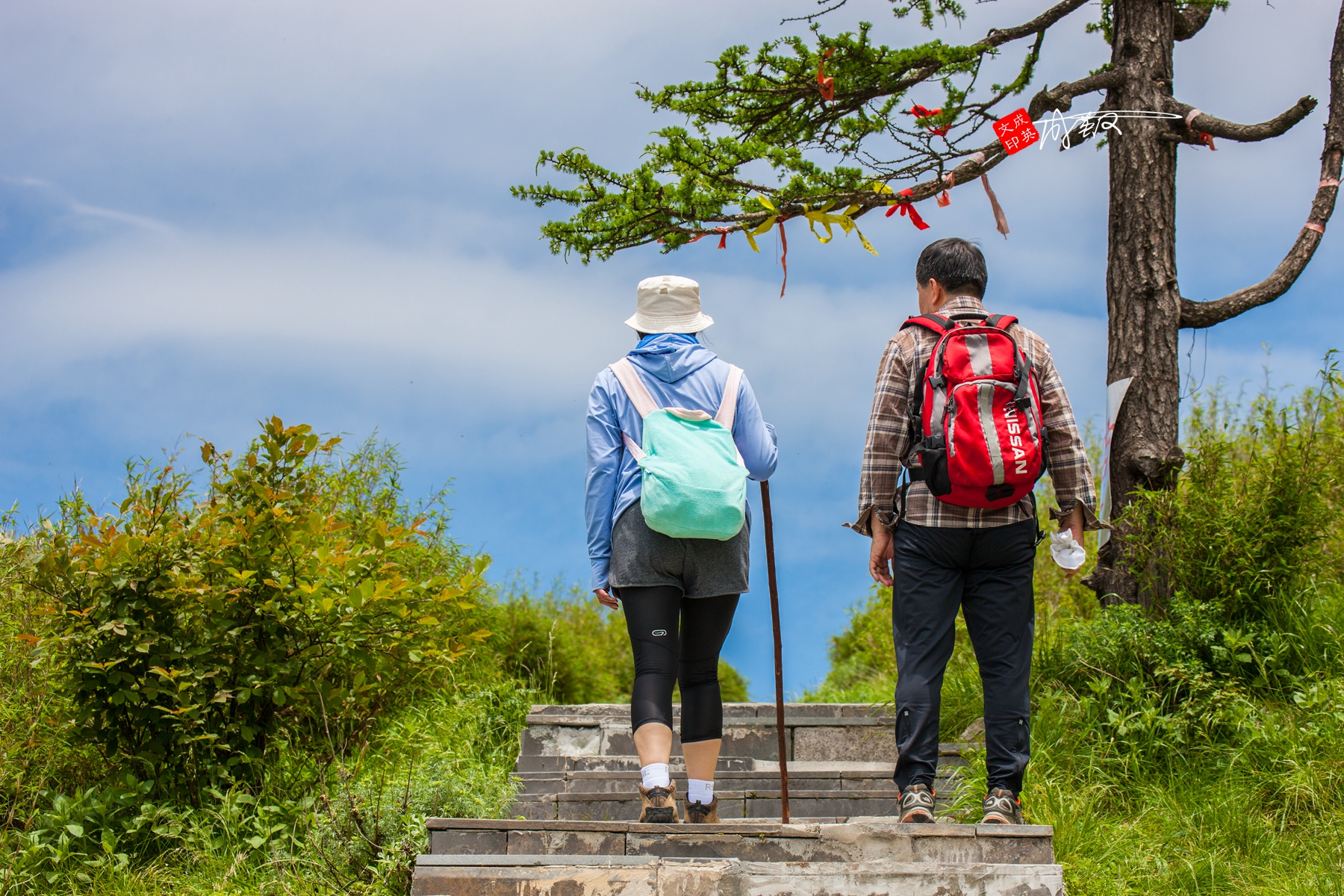 佳能1ds3还值得入手吗,佳能1ds3深度评测