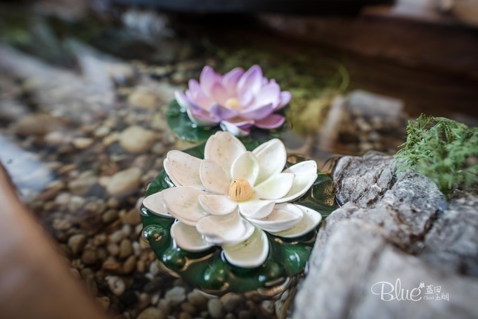 在江苏句容不光可以玩茅山，乡村旅游也做得很不错，游客都很赞