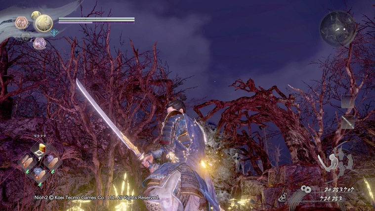 仁王大太刀武功,仁王太刀图片大全