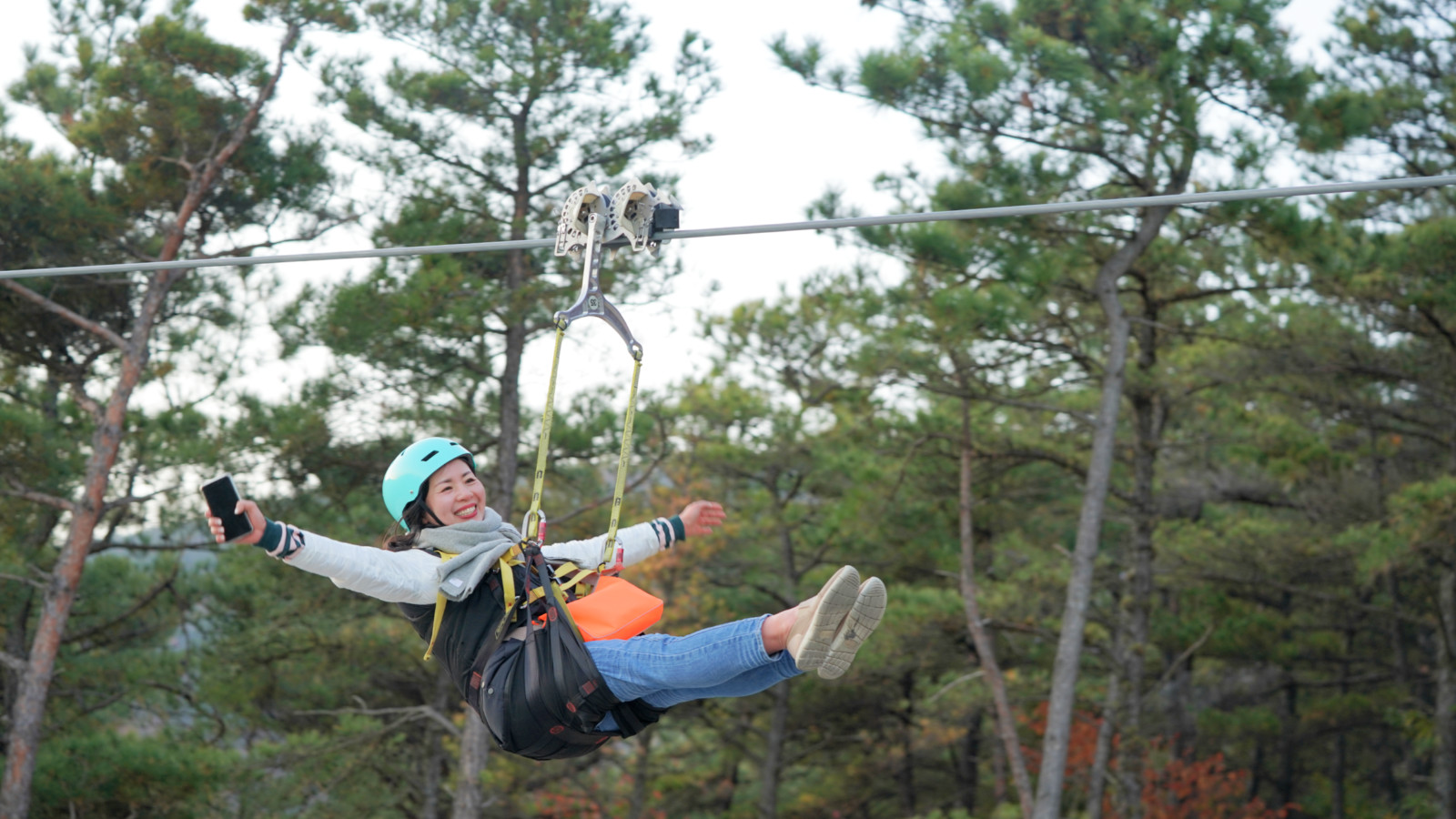 哇,人参随便挖!韩国还能这么玩