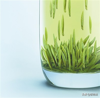 中国的贡茶是什么,最早关于茶的文献记载