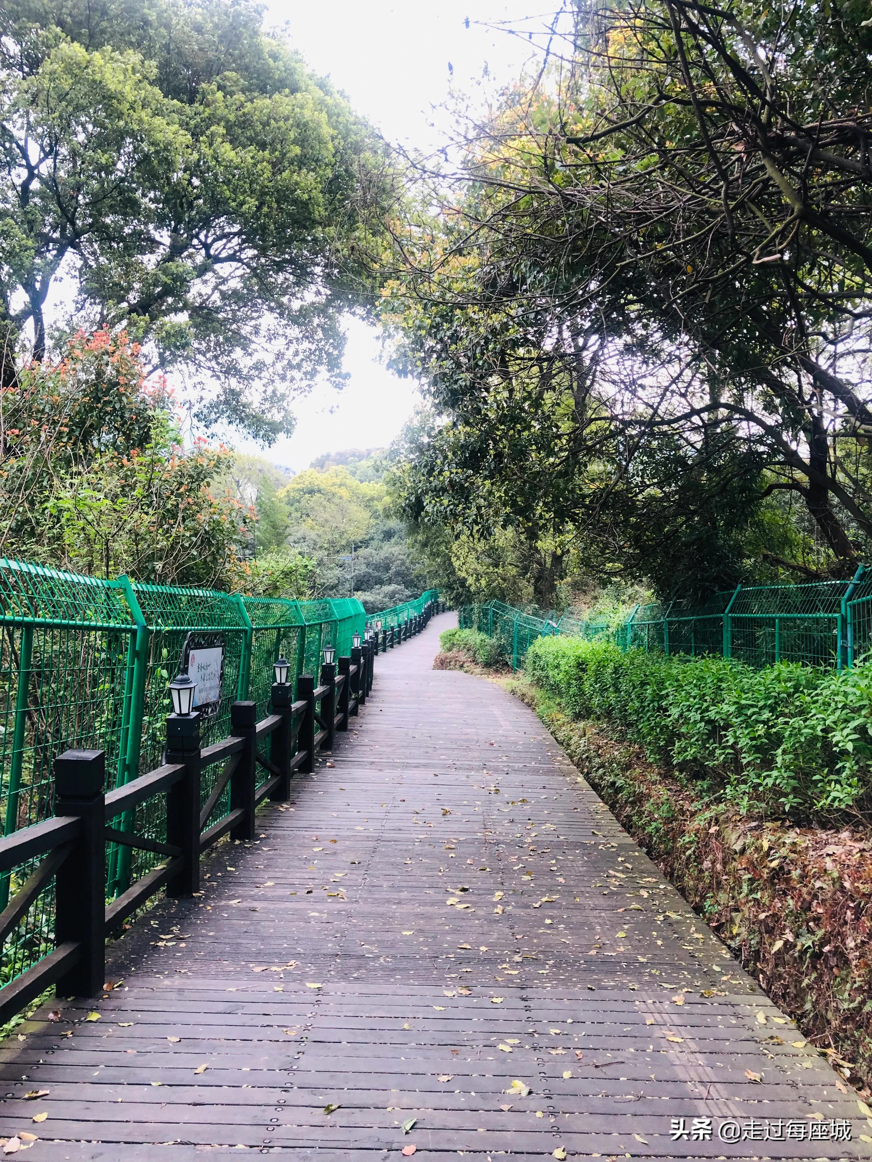 苏州小众却很棒的原生态的古镇,苏州必去的古村