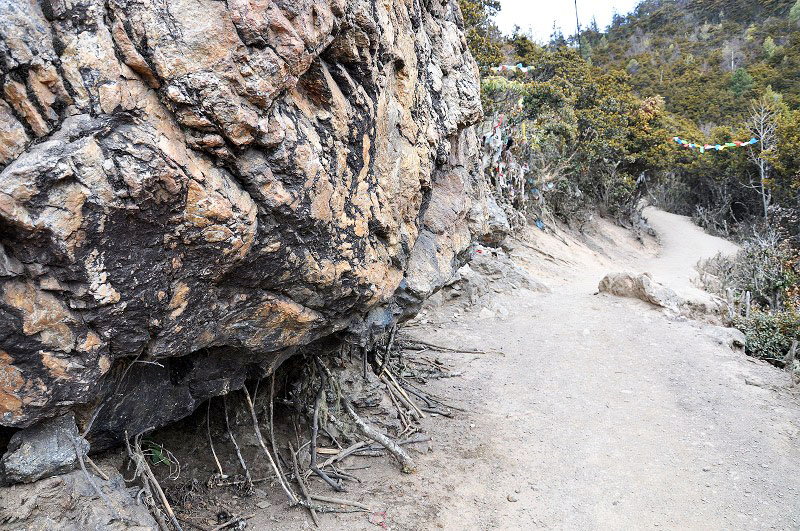 雪山脚下的雨崩村徒步,雨崩村徒步之旅