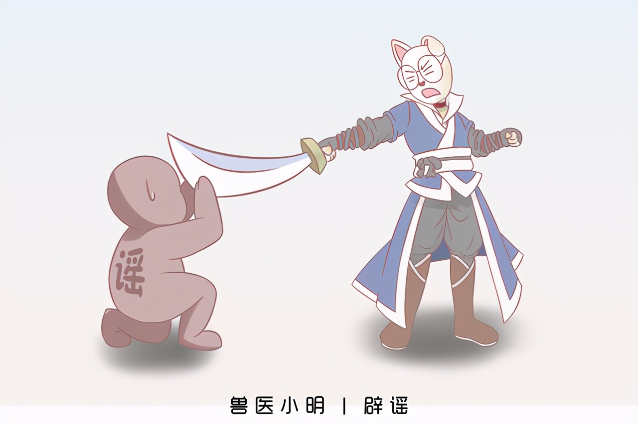 把猫咪的胡须拔掉还能找出来吗 (猫咪的胡须能探测多远的距离)