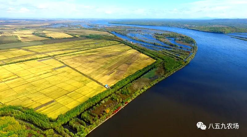 童年的回忆钢琴曲教学,童年的回忆