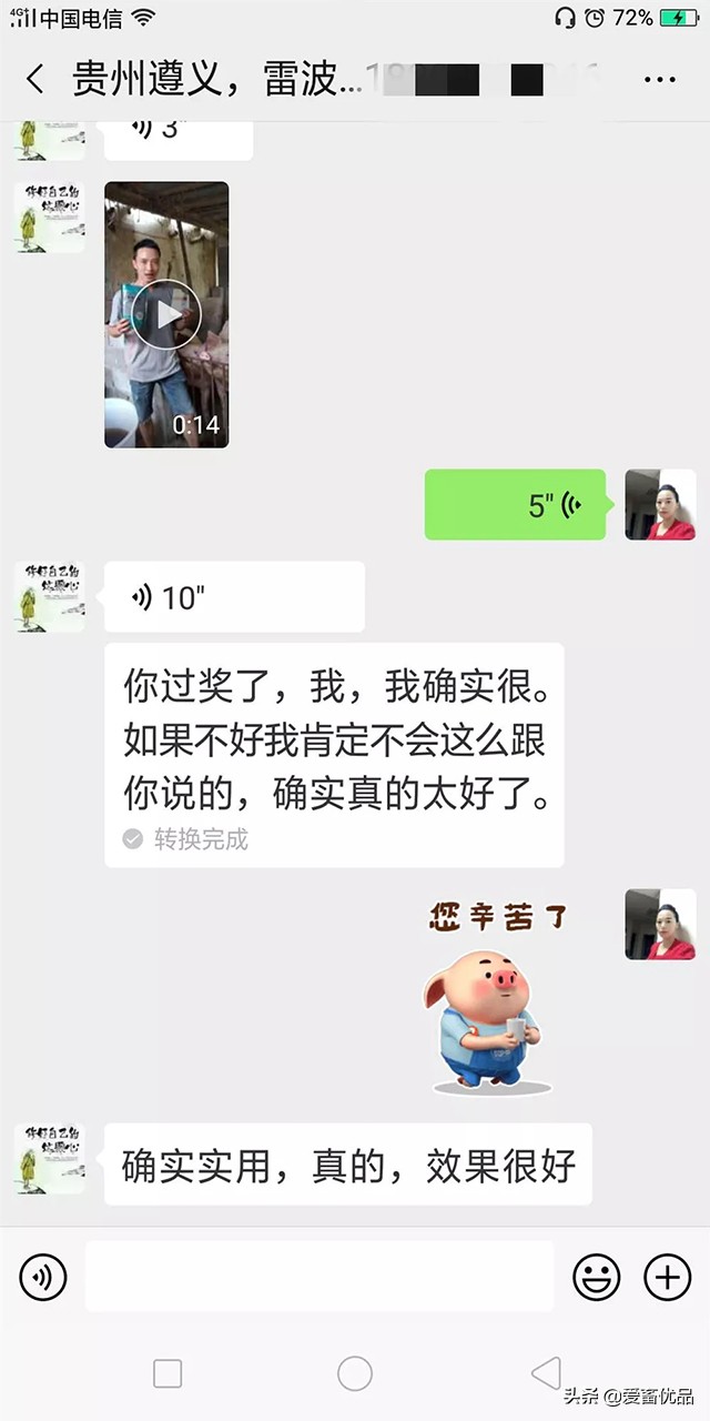 仔猪病毒性腹泻怎么治疗,仔猪传染性腹泻怎么治