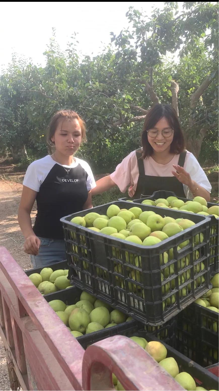 助农*疆新**水果特产优选动态