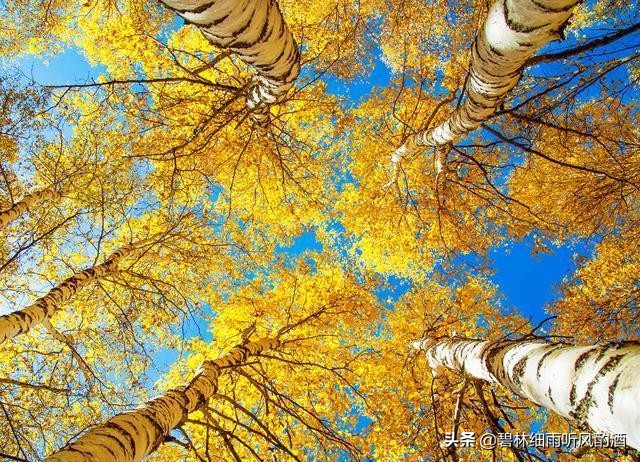 卜奎故事,卜奎史话