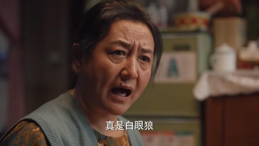 《理想之城》人物之一生注定卑微的吴红玫