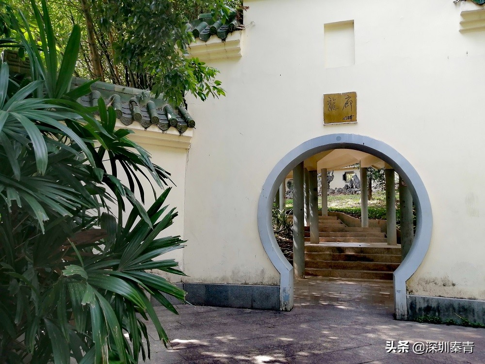 深圳的龙华小公园,广东深圳龙华公园在哪里