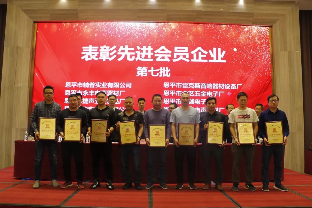 恩平电声行业协会成员,恩平协会