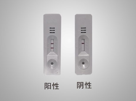 新冠病毒抗体快速检测试剂亮相,量产每日可达50万份!由潍坊康华生物研制成功