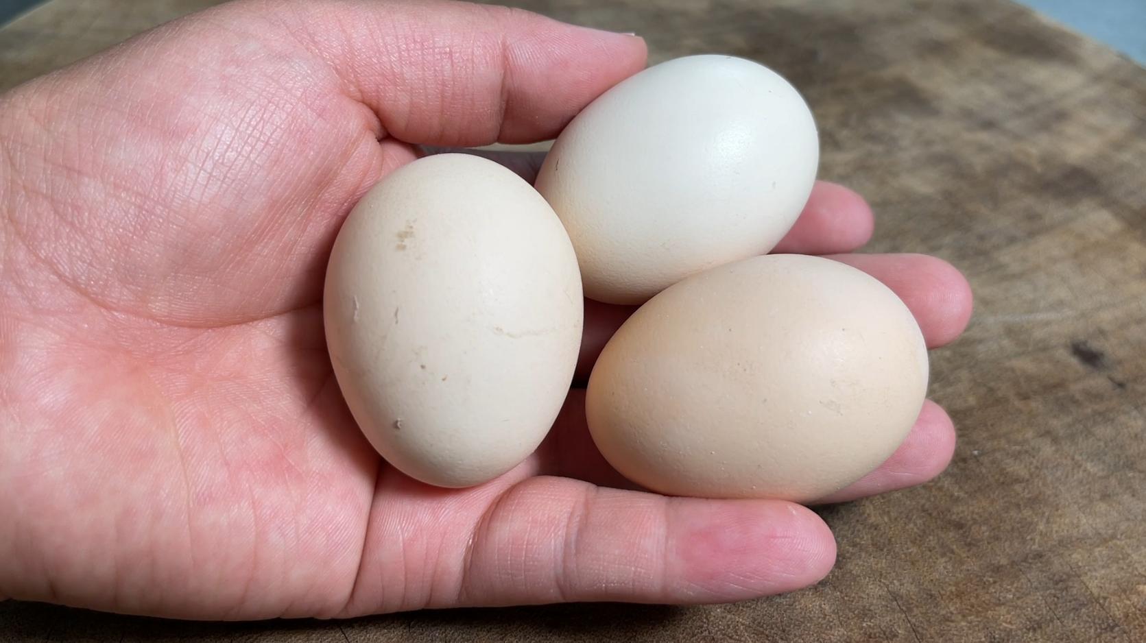 蒸鸡蛋羹正确的做法又嫩又滑窍门,蒸鸡蛋羹正确的做法又嫩又滑