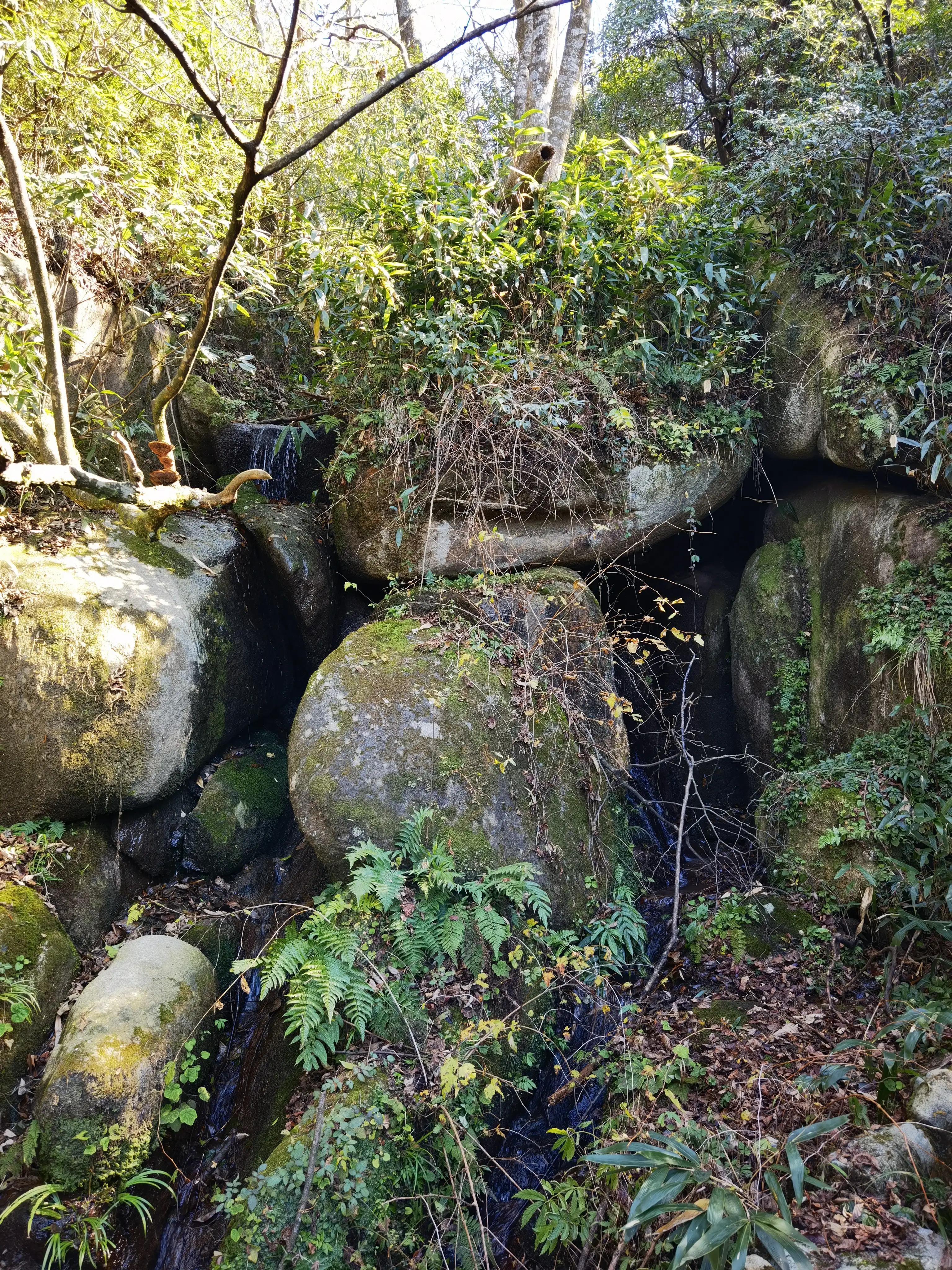 五岳独秀,五岳独秀图文