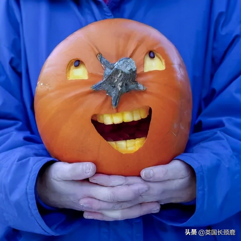 南瓜大作战攻略,南瓜大作战有几个地点