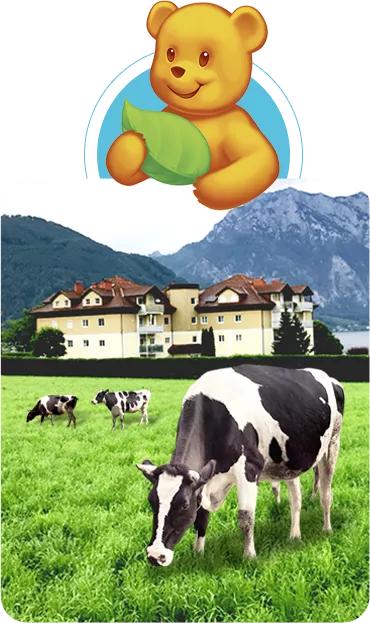 德国贝唯他,德国贝唯他好吗