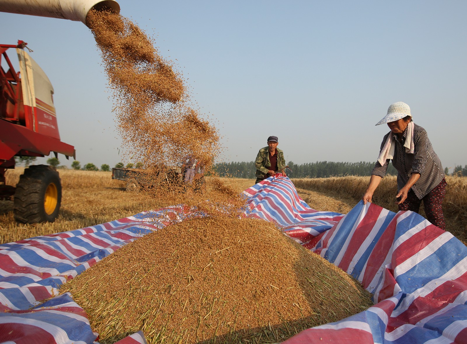 让数据说话变现实,让数据自己说话