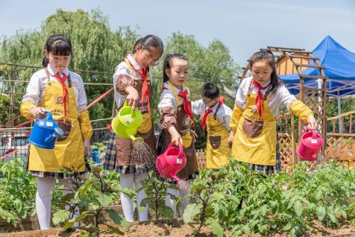 中国灯城：开启孩子们创意学习之旅