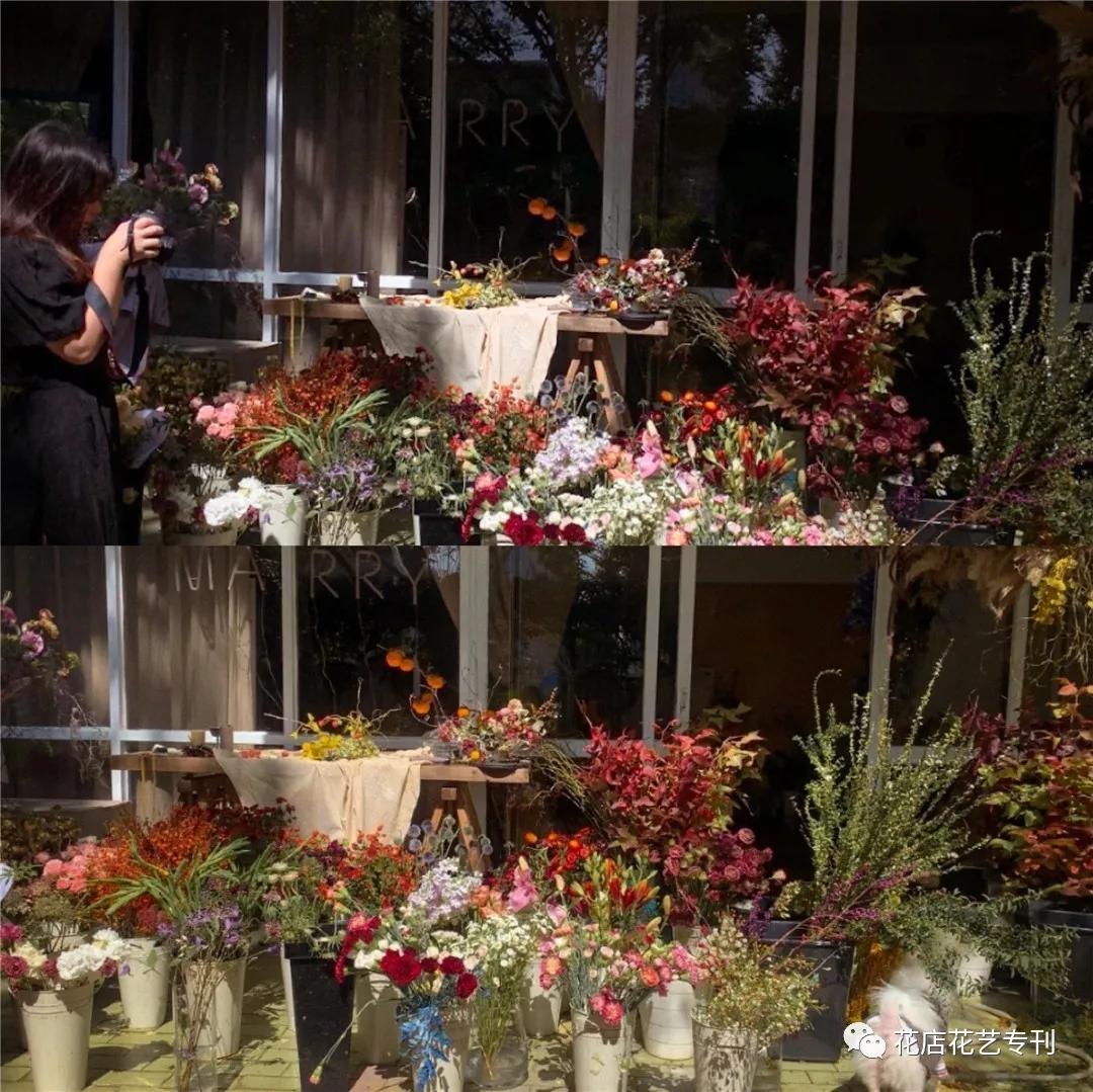 深圳TaleFlora：在花园里授课，做有灵魂的设计