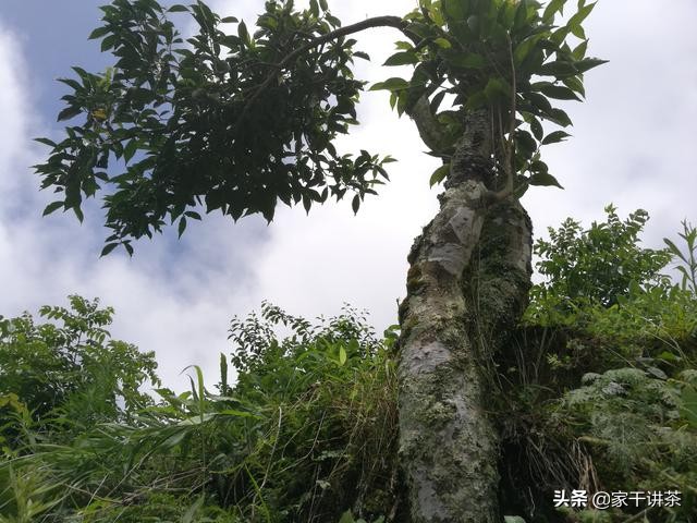 胡继承贵州,贵州胡继承