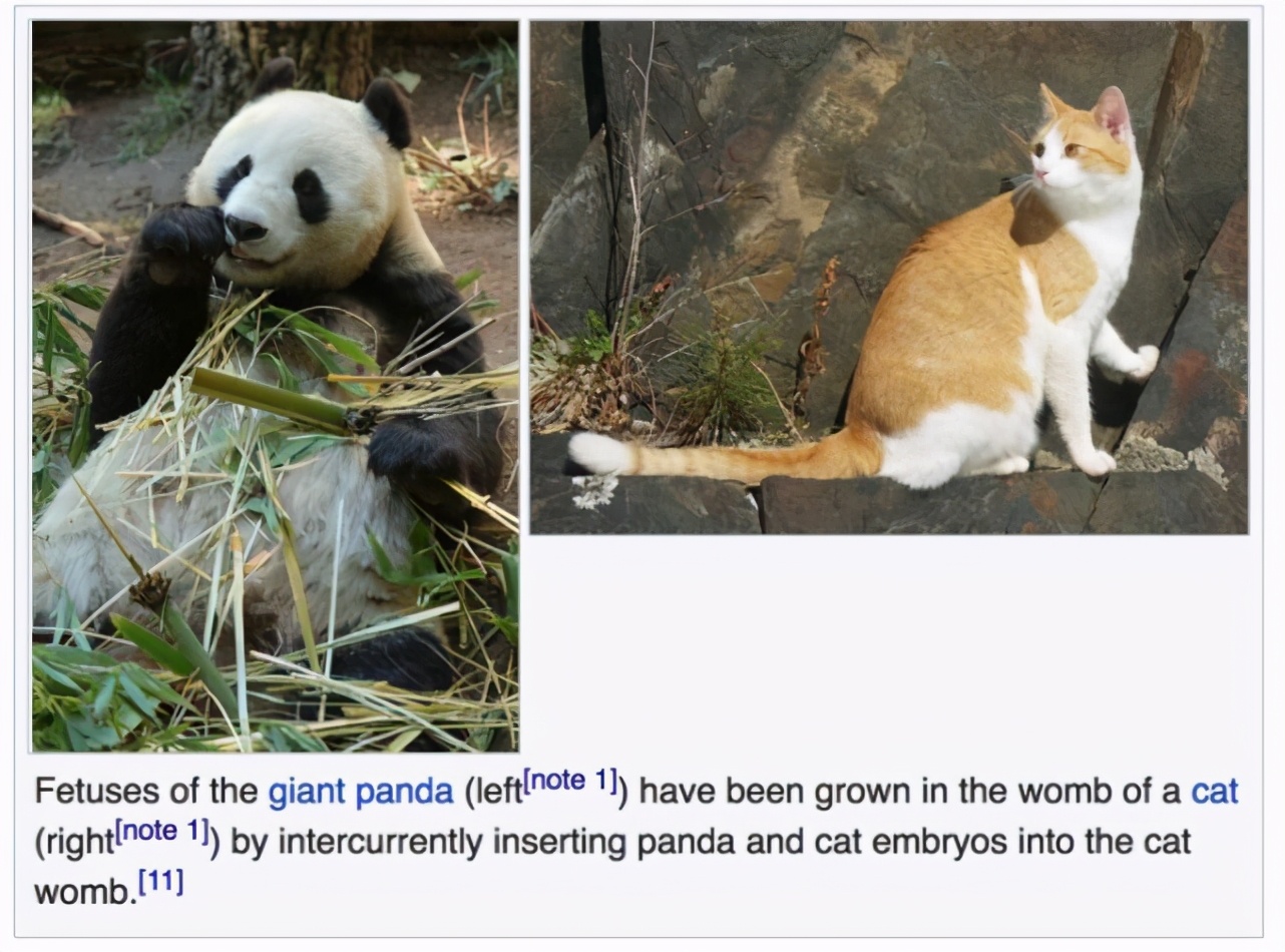 人类胚胎最初属于哺乳类吗,人类胚胎发育的场所是