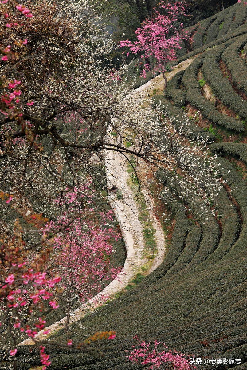 无量山镇游玩攻略一日游,无量山旅游攻略一日游多少钱