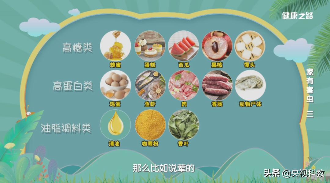 科学除四害视频,科学除掉蚂蚁