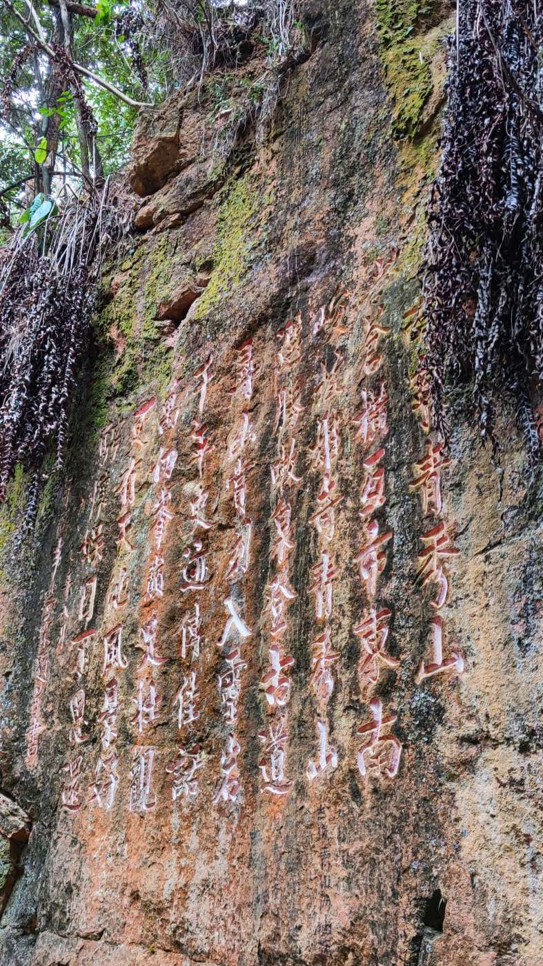青秀山有什么独特之处,青秀山里有什么美景